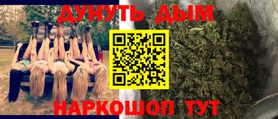 гидропоника Кулебаки