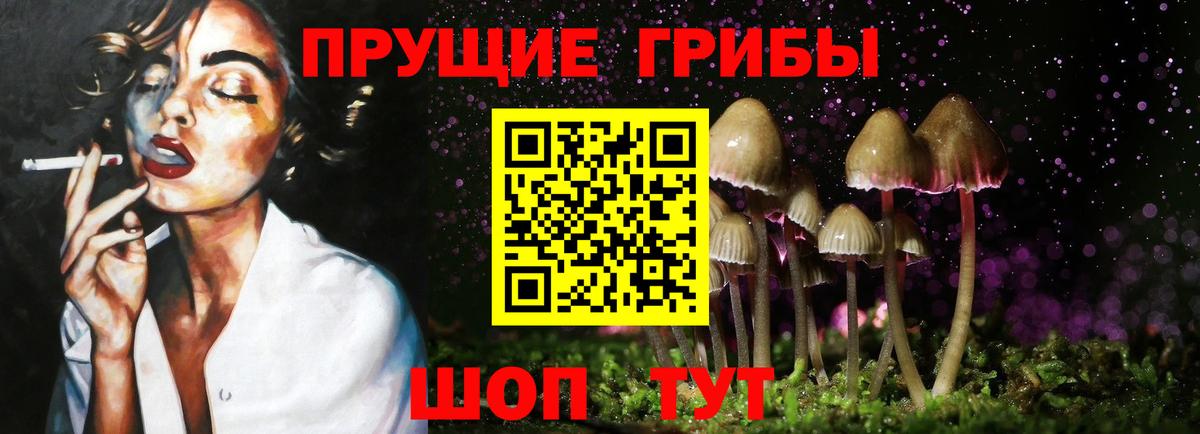 купить закладку  Галлюциногенные грибы прущие грибы  Вход с VPN  Галлюциногенные грибы ЛСД  Ишим 